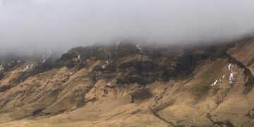 Farver Farms Grows In The ‘Middle Of Nowhere’ With Their Wheat And Lentils