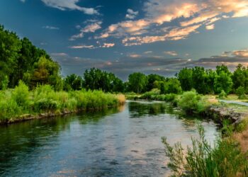 Competition For Water Induced By Transnational Land Acquisitions For Agriculture