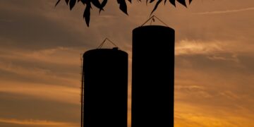 Helping Your Grain Keep Its Cool