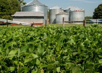 As Minnesota Explores A Clean Fuel Standard, There’s Pushback Against Ag