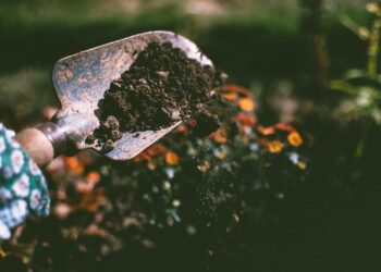 A Call For Governments To Save Soil