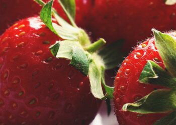 New Technology In Strawberry Production