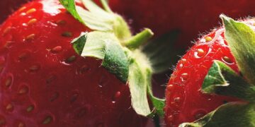 New Technology In Strawberry Production
