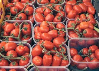 Genetically Modified Crops In Europe Could Reduce Greenhouse Gas Emissions