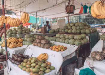 The Future Of Africa’s Food Security Needs A New Consensus With Smallholders