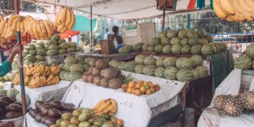 The Future Of Africa’s Food Security Needs A New Consensus With Smallholders