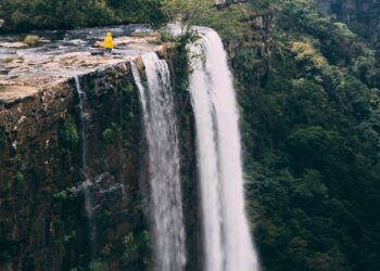 Catching the Bug: Are Farmed Insects About to Take Off in Africa?