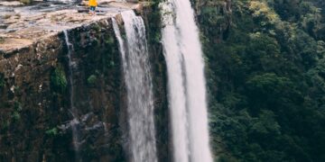 Catching the Bug: Are Farmed Insects About to Take Off in Africa?