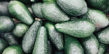 Import Of Mexican Avocados Halted On The Eve Of Guac’s Big Day