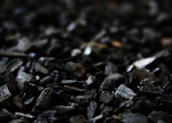 Carbon Calculation Tool For Indoor Agriculture