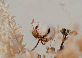 Firm Trend On Cotton Market