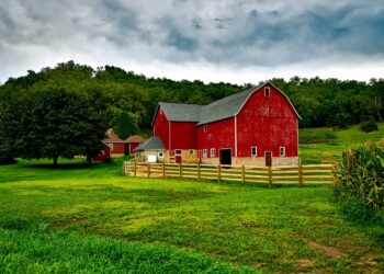 The Little Family Farm: Built On Love and Hard Work