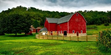 The Little Family Farm: Built On Love and Hard Work