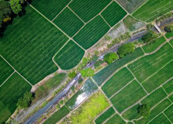 How Farming Can Revitalize Rural Areas