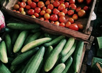 Extending The Season, Improving Food Security