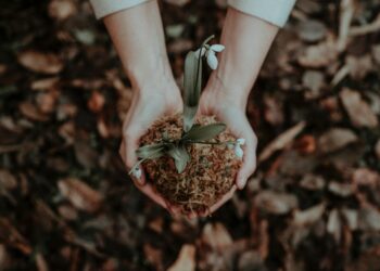 Black Innovators Who Reshaped American Gardening, Farming