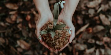 Black Innovators Who Reshaped American Gardening, Farming