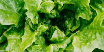 Federal Laws Push Food Safety Stragglers To Move Forward