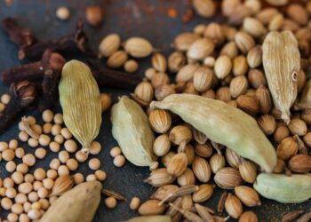 There Can’t Be Food Security Without Seed Security