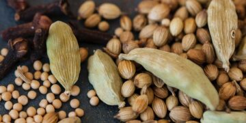 There Can’t Be Food Security Without Seed Security