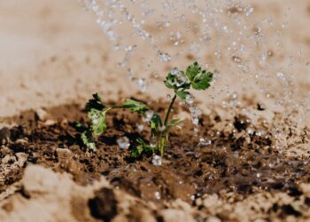 How To Unlock The Secrets In Soil Test Data