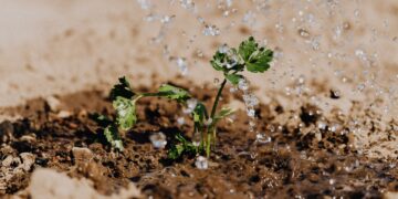 How To Unlock The Secrets In Soil Test Data
