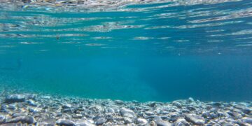 African Countries Must Protect Their Fish Stocks From European Union. Here’s How