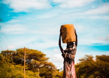 Higher Food Prices, Slumping Trade: How the War in Ukraine Could Hit Africa