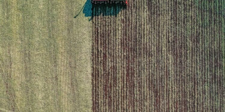 Russia’s Exclusion From Global Trade Creates Gap in World Economy