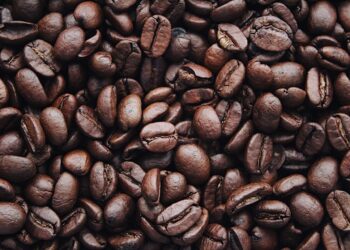 Coffee Farmers Worried That Rainfall Delay to Affect Production