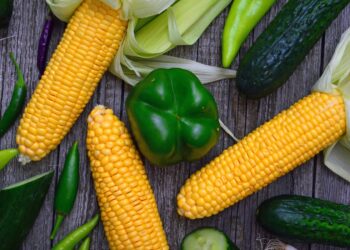 Corn Belt Reports Worsening Drought Conditions as Planting Season Approaches