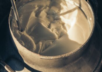 Cellular Agriculture Europe Adds Wilk Technologies As First Cell-Cultured Dairy Member