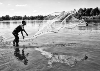 Legislator Wants Food Security Bill to Address Overfishing in BVI