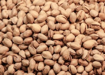 Pistachio Growers Unite at Industry Annual Conference