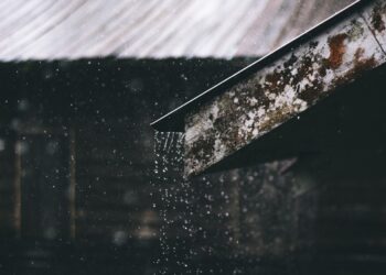 Cautious Hope As Forecast Shows Good Rainy Season Across East Africa