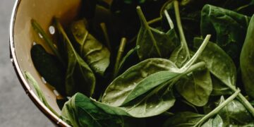 Vertical Farm Firm Growing Centuries-Old Spinach in Trial