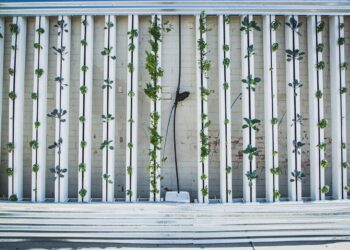 Smart Indoor Garden Market Size to Reach USD 243.3 Million in 2030