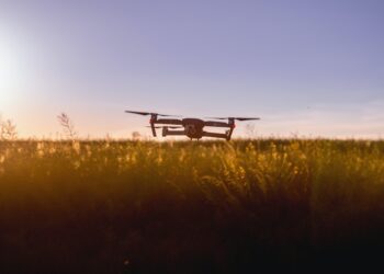 AI in Agriculture Could Boost Global Food Security, but There’s Risks