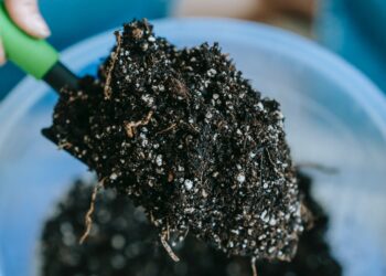 USDA Supporting Fertilizer Production in United States