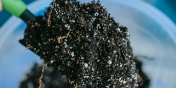 USDA Supporting Fertilizer Production in United States