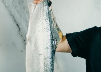 Breeding Aquatic Animals Released to Help Recover Fisheries Resources