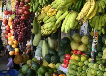 To combat World Hunger, Immediate Aid, Along With the Reworkings of the Modern Food Supply is Needed