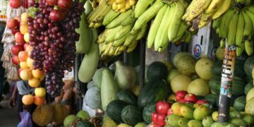 To combat World Hunger, Immediate Aid, Along With the Reworkings of the Modern Food Supply is Needed