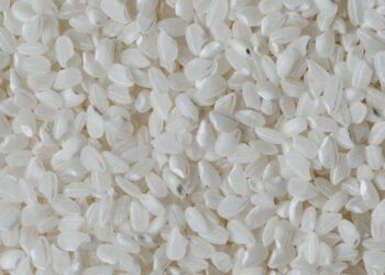 Incentivizing Rice Farmers 