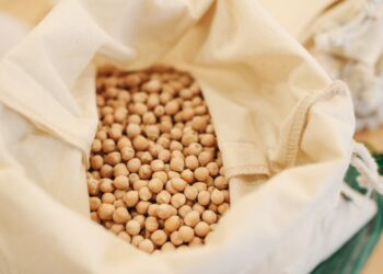 Soybeans Gain on Demand Hopes While Wheat Falls Further