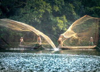 Researchers Pinpoint How Nigeria Can Meet its Aquaculture Target
