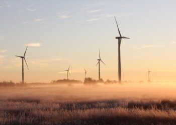 Asia’s New Agricultural Revolution: Planting a High-Tech Future