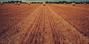 Oregon Researchers Propose Innovative Path Forward for Farming’s Water Woes