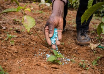 How to Make the Global Fertilizer Industry More Sustainable?
