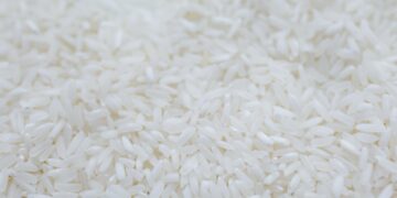 Marcos Urged to Support Agri, Manufacturing Without Relying on FDI